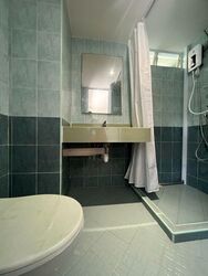 Dunearn Road (D11), Condominium #473770991